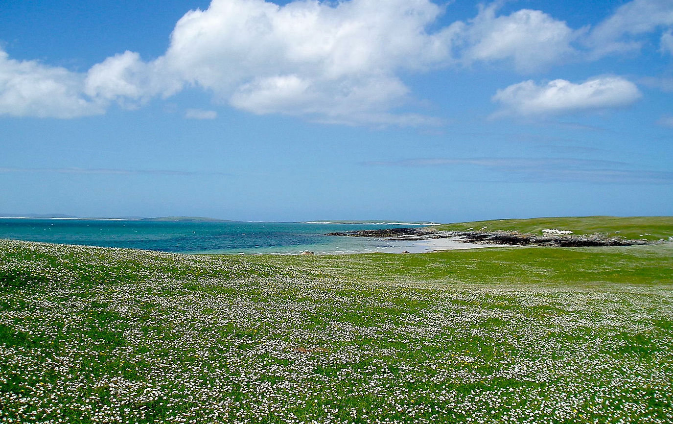 Berneray Machair.jpeg