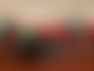 Celebration of our scholars and the spirit of giving!