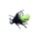 Luma bugs 2 pack 
