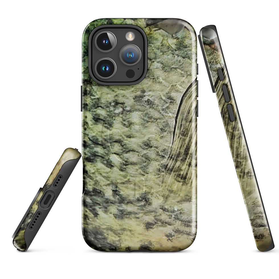 Thumbnail: Crappie scale MagSafe® tough case for iPhone®