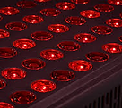Red Light Therapy