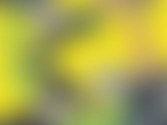 ISSUE #217 (The Oscars, James Gunn's Superman, & More)