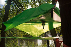 14203309_1152782098113546_4248876858249948867_n