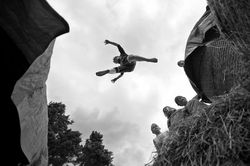 14224888_1152783284780094_5472394377662667837_n