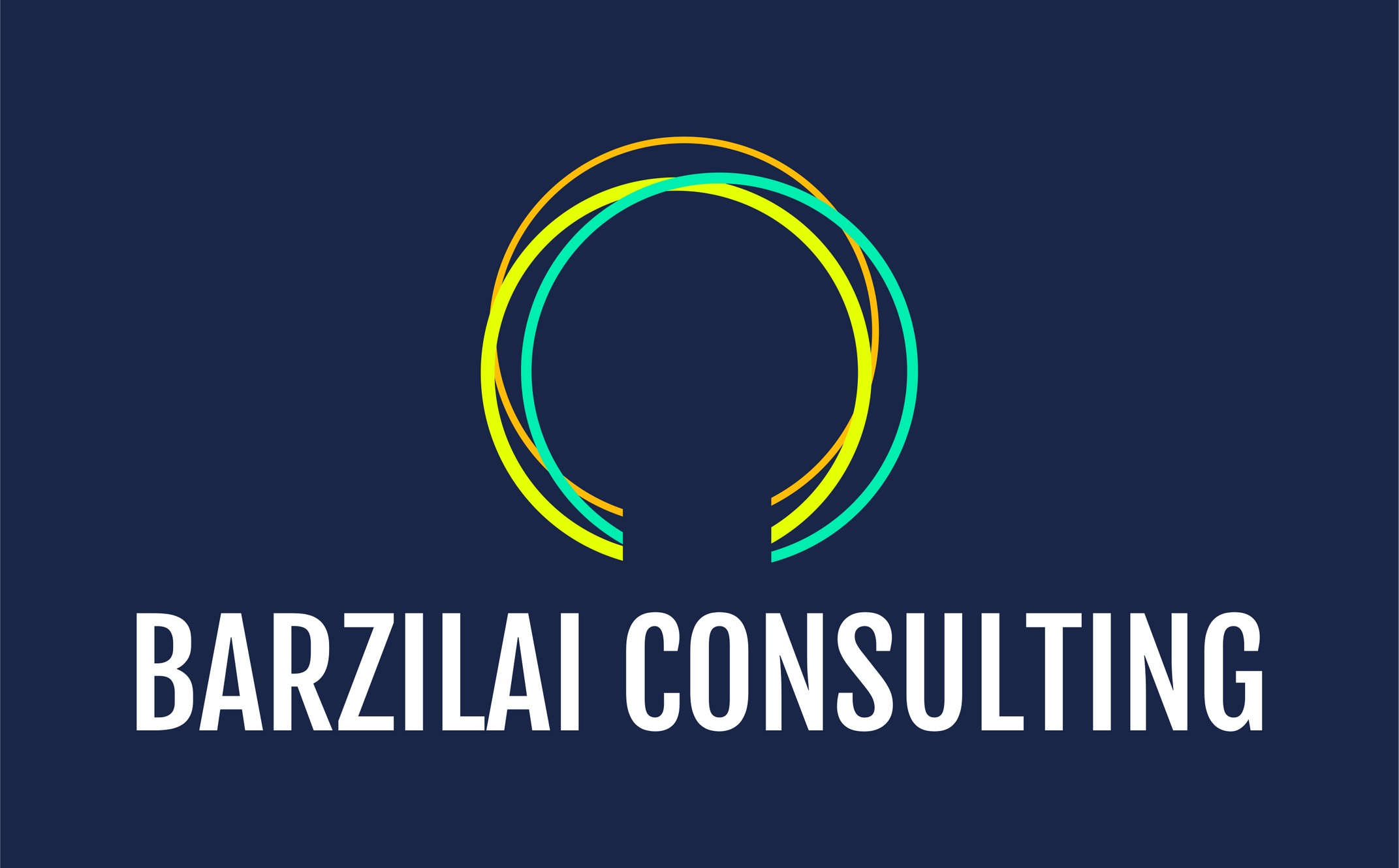 Longevity Consulting with Healthspan Coaching by David Barzilai MD PhD | Barzilai Consulting is a lifespan coaching blueprint for healthy longevity | Outlive Coaching provides balanced life coaching 