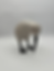 Thumbnail: White Wood Kiwi