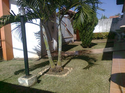 Foto0060