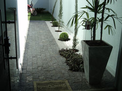 DSC01906