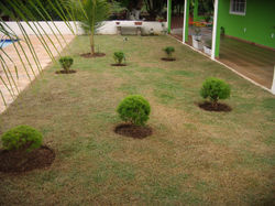 foto7