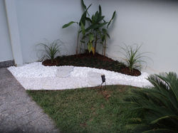 DSC02007