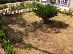 jardinagen primavera vol;1 012