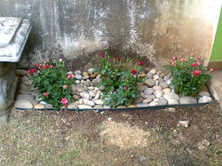 Foto0546