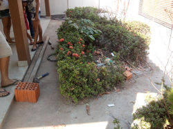 IMG_20141011_080207