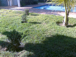 Foto0442