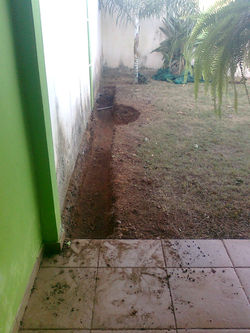 Foto0487