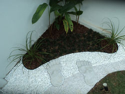 DSC02003