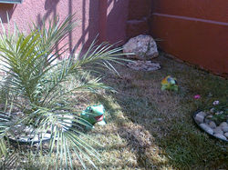 Foto0829