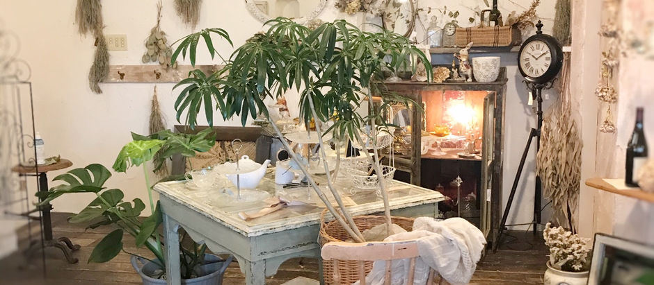 本日もありがとうございました!