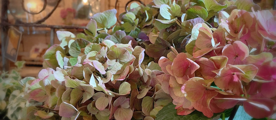 明日火曜日は定休日デス