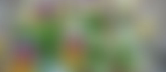 明日火曜日は定休日デス