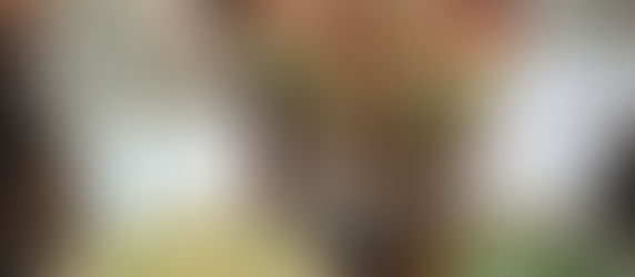 明日火曜日は定休日デス