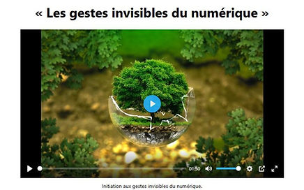 éco gestes.jpg