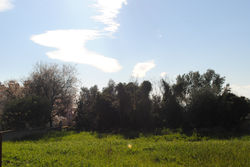 Land for sale Karavados Kefalonia