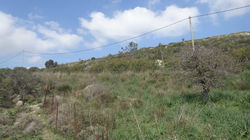 Land for sale Xi beach Kefalonia