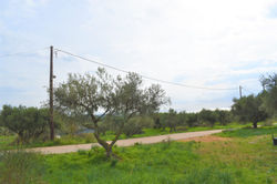 Land for sale Chavriata Kefalonia