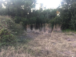 Land for sale Pessada Kefalonia