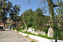 Land for sale Asos Kefalonia