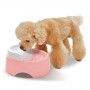 Thumbnail: GEX-Pet Pure Crystal Cage (Clear Flow) DOG