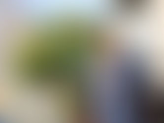 PORQUÊ UM PROFISSIONAL LIBERAL DEVE ESTAR NA INTERNET