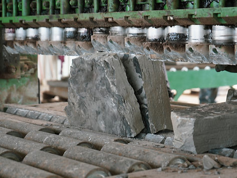 ZSR08839.jpg