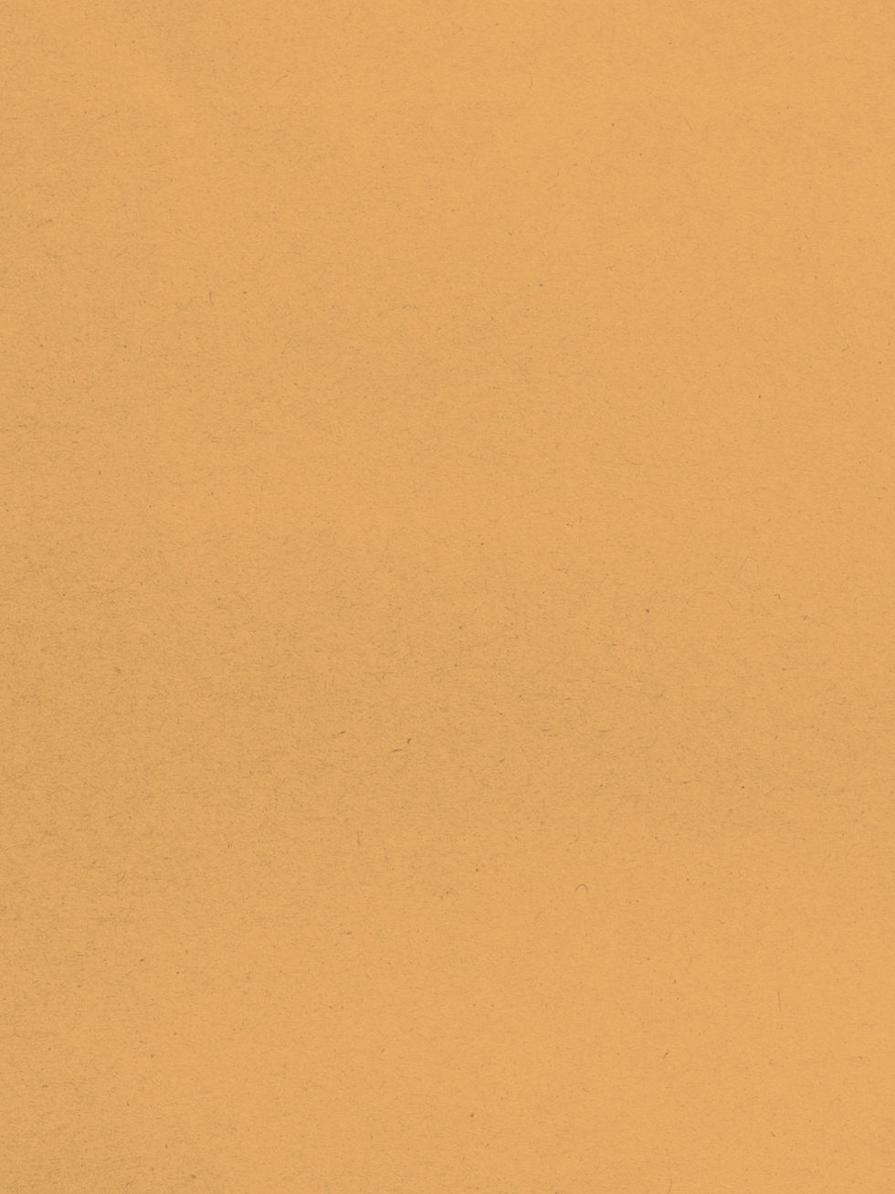 HEADING - 2025-11-16T183402.554.jpg