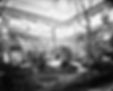 Claustro