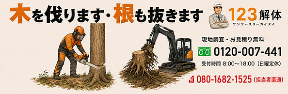 ChatGPT Image 2026年8月1日 20_23_42 (1).png
