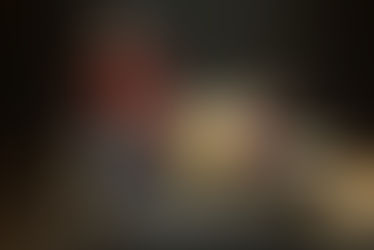 A Gaiola: uma menina e um passarinho