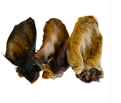 Large hairy cows ear