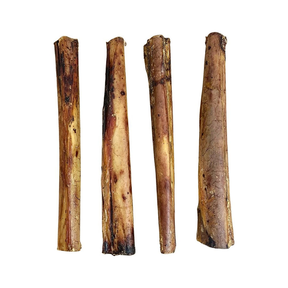 Ostrich marrow bone natural dog treat