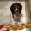 Thumbnail: Braided beef tendon