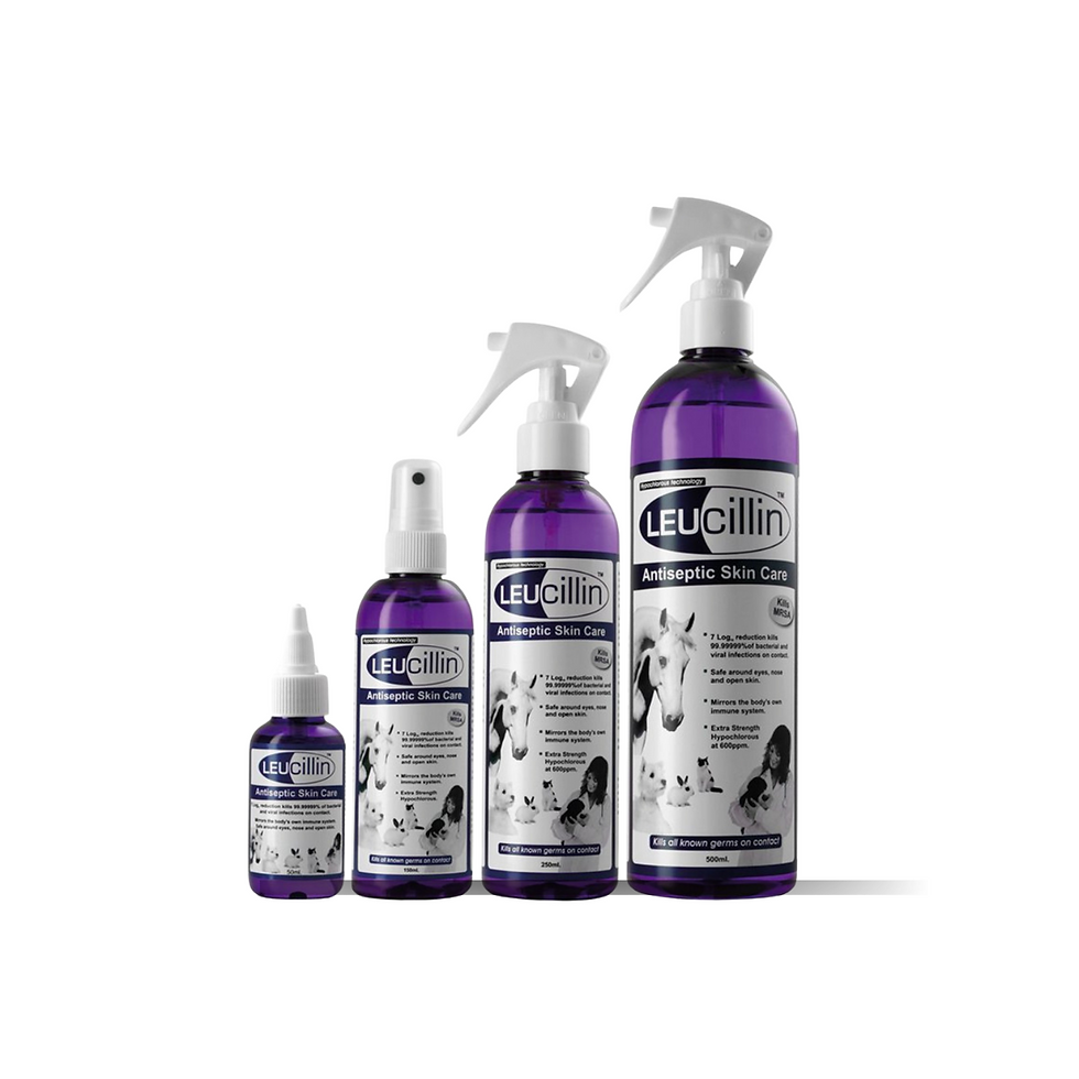 Leucillin antiseptic spray for animals