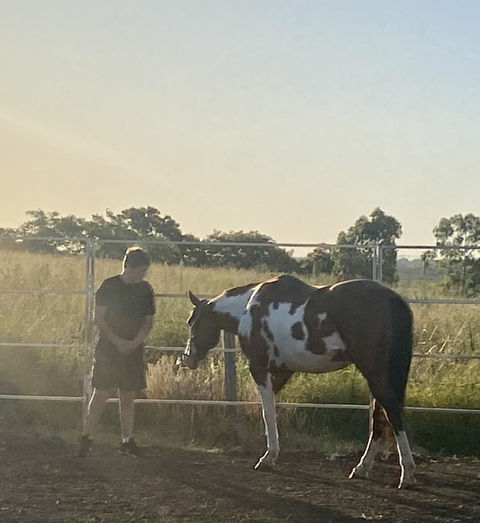 pindari-equine-assisted-learning (20).jpg