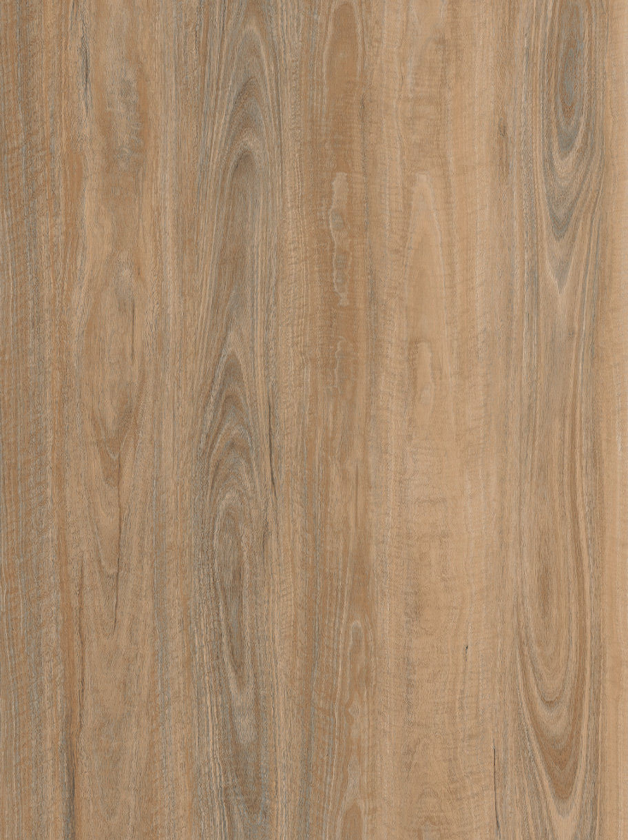 Polaris_1200-525 Silk Spotted Gum_DTN903