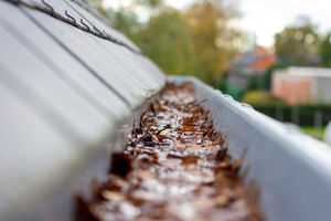 affinity-solar-and-gutter-cleaning-vaccumm-leaves-debris-dirty-lowset-home-house.jpg