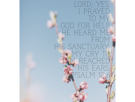 HE HEARD MY CRY