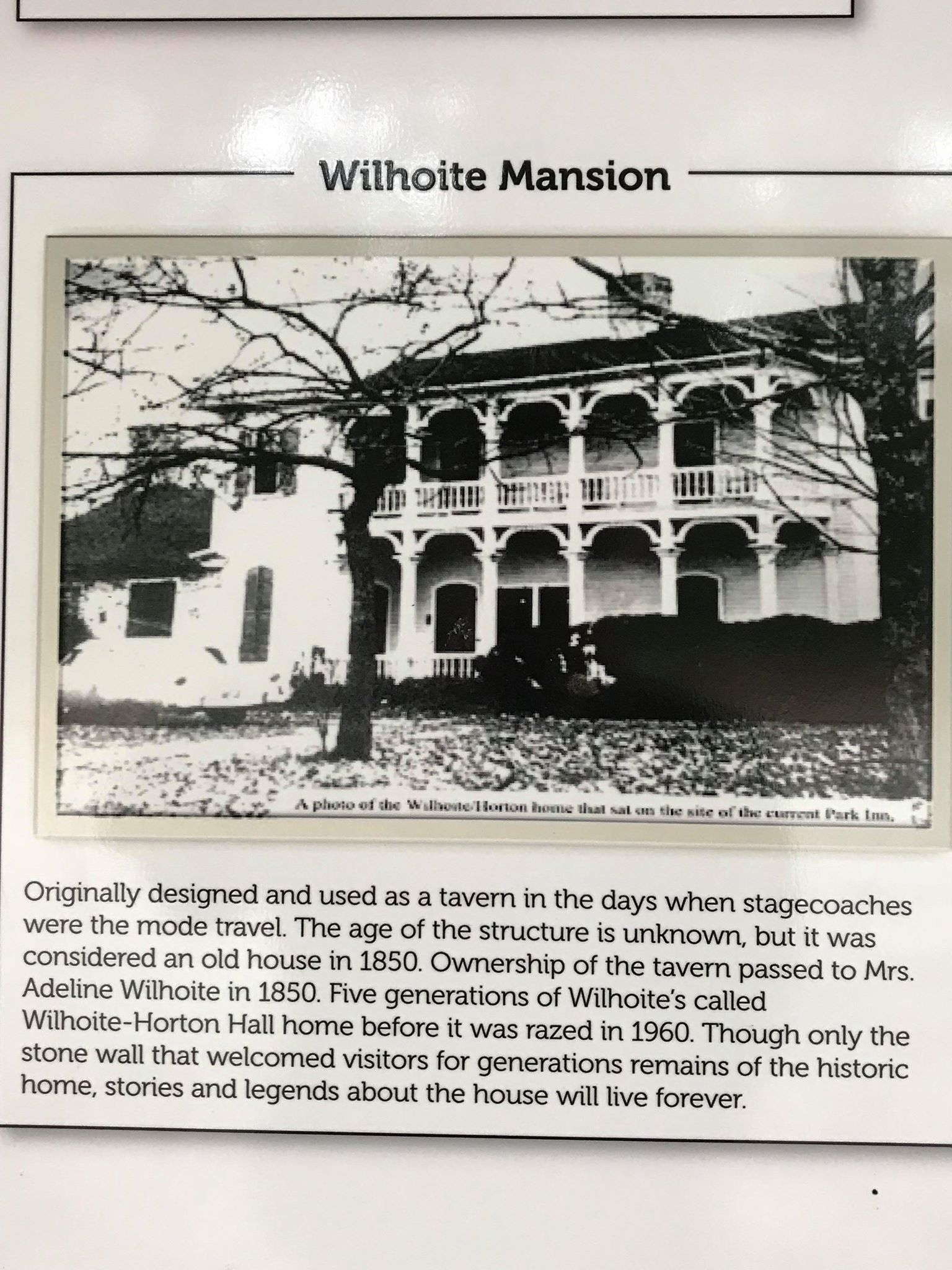 The Home