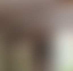 New York Meets Charleston Carriage House