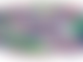 Best Apartments in Noida