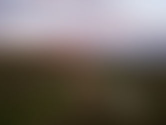 Yamuna Expressway Residential Plots